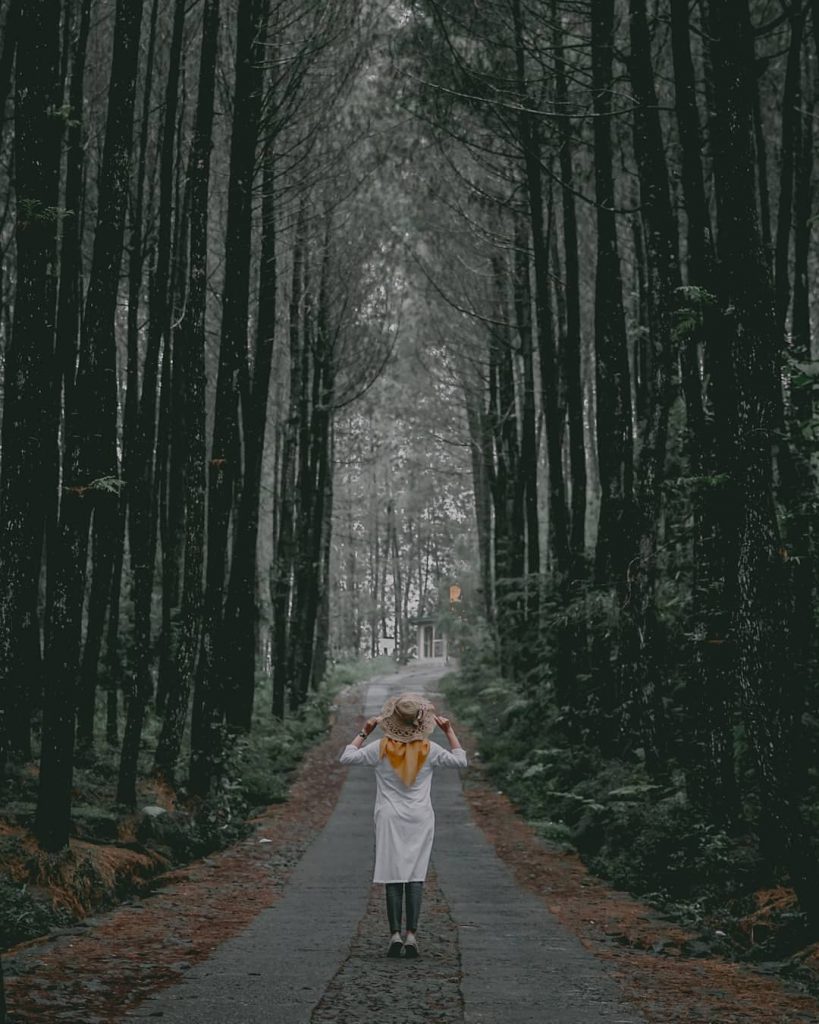 Wisata Top Selfie Pinusan Karagilan