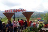 Cafe Sawah Desa Wisata Pujon Kidul Malang