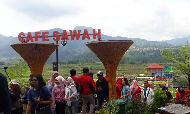 Cafe Sawah Desa Wisata Pujon Kidul Malang
