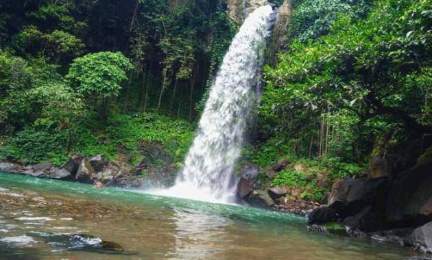 Jalan Menuju Air Terjun Way Lalaan Tanggamus