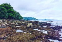 Jalan Menuju Pantai Batu Lapis Lampung