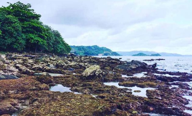 Jalan Menuju Pantai Batu Lapis Lampung