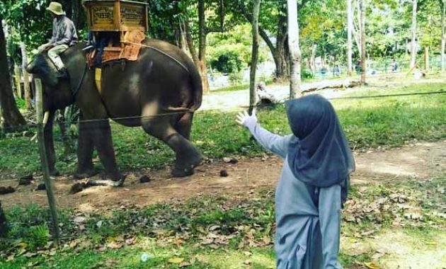 Jalan Menuju Taman Wisata Lembah Hijau Lampung