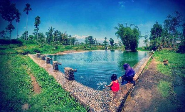 Kolam Renang Kampung Wisata Tirta Agung Bondowoso