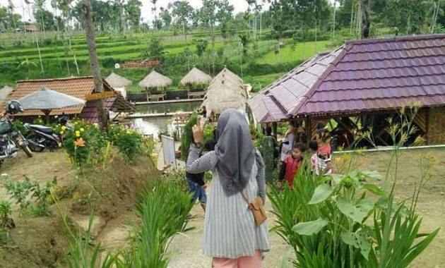 Pemandangan Kampung Wisata Tirta Agung Bondowoso