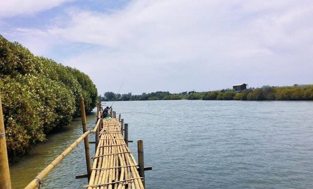 Tempat Wisata Pantai Pasir Mendit Di Kulon Progo