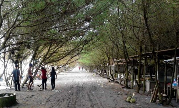 Wisata Pantai Kuwaru Di Bantul Jogja
