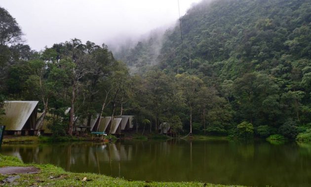 Jalan Menuju Telaga Warna Puncak