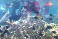 Snorkeling Pantai Sari Ringgung Lampung