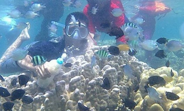 Snorkeling Pantai Sari Ringgung Lampung