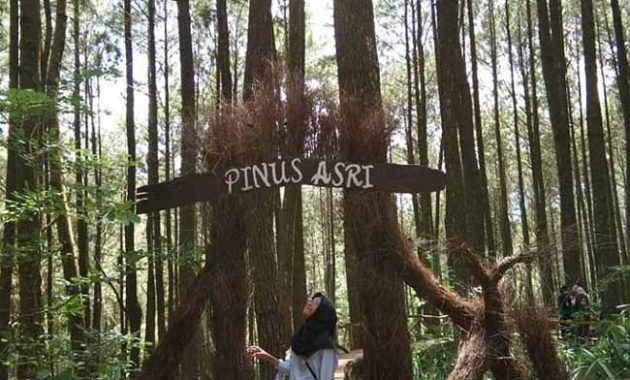 Alamat Hutan Pinus Asri Jogja