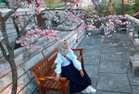 Bunga Sakura Jatim Park 3 Batu Malang