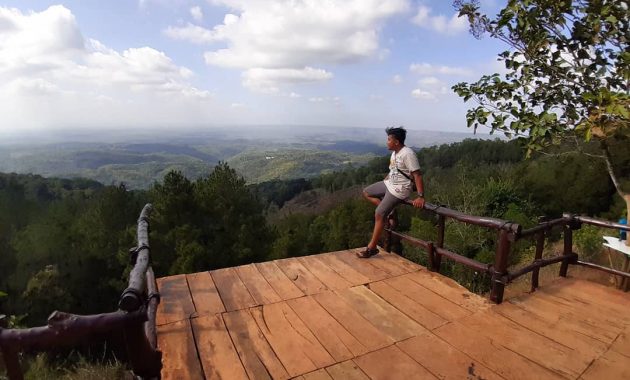 Fasilitas Hutan Pinus Asri Jogja