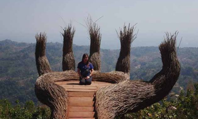 Jalan Menuju Hutan Pinus Pengger Jogja