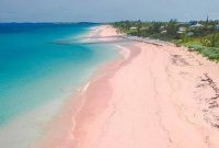 Jam Buka Pantai Pink Lombok Timur