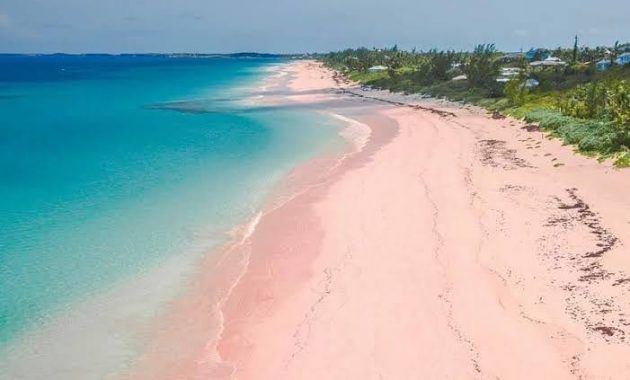 Jam Buka Pantai Pink Lombok Timur