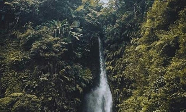 Air Terjun Kebun Raya Cibodas Cianjur