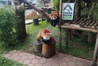 Alamat Taman Safari Bogor