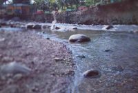Alamat Taman Wisata Matahari Bogor