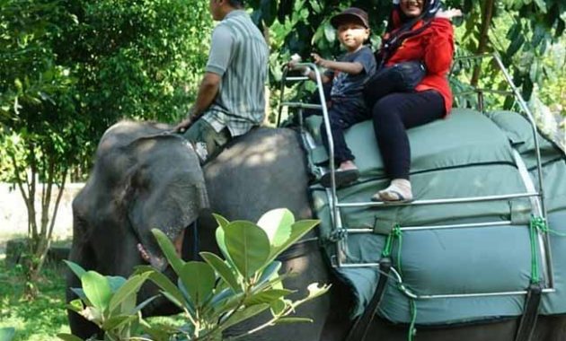 Fasilitas Gembira Loka Zoo Jogja