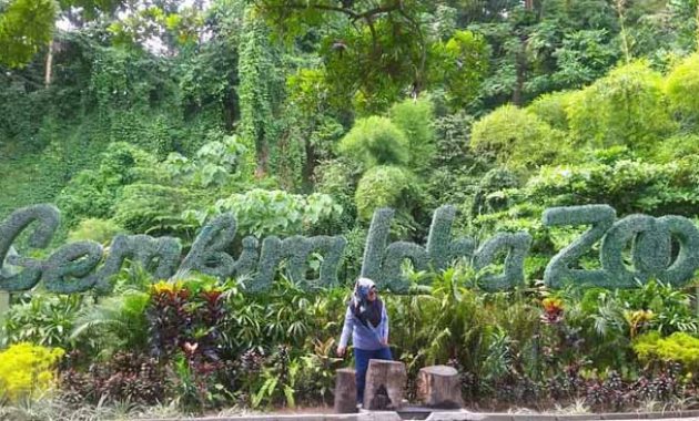 Harga Tiket Masuk Gembira Loka Zoo Jogja