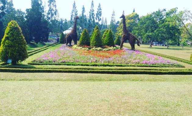 Harga Tiket Masuk Taman Bunga Nusantara Bogor