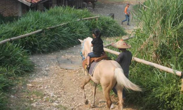 Jalan Menuju Kuntum Farm Field Bogor