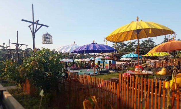 Kolam Renang Kebun Pak Budi Pasuruan