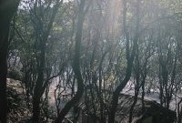 Lokasi Kawah Putih Bandung
