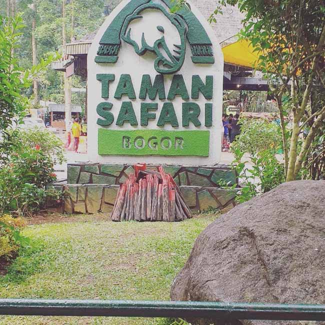 10 Gambar Taman Safari Bogor, Tiket Masuk, Jam Buka