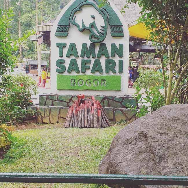 foto taman safari pandaan