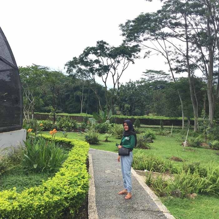 10 iGambari Kebun Raya Indrokilo Tiket Masuk Spot Foto 10 iGambari Kebun Raya Indrokilo Tiket Masuk Spot Foto