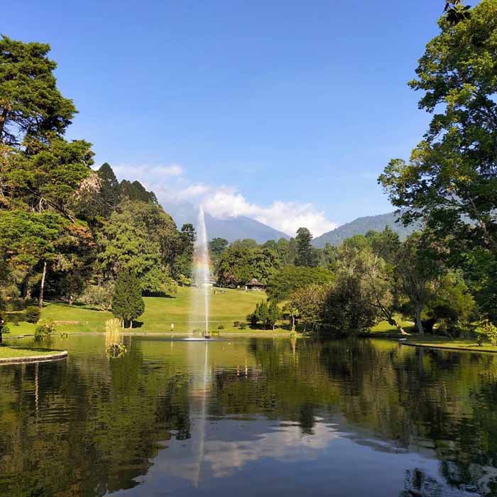 Objek Wisata Kebun Raya Cibodas