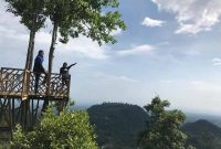 Spot Foto Rumah Pohon Habitat Langkat