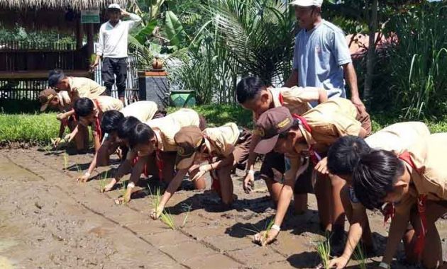 Wahana Kebun Pak Budi Pasuruan