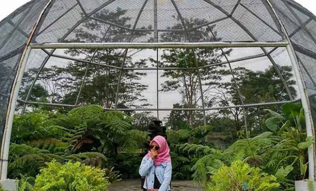 Wahana Kebun Raya Indrokilo Boyolali