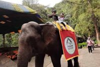 Wahana Taman Safari Bogor