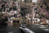 Harga Tiket Masuk Ragunan Zoo Jakarta