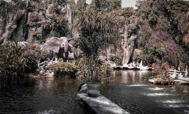 Harga Tiket Masuk Ragunan Zoo Jakarta Harga Tiket Masuk Ragunan Zoo Jakarta