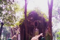 Rute Ragunan Zoo Jakarta