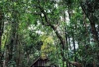 Arsitek Museum Ullen Sentalu Jogja