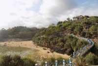 Jalan Menuju Pantai Kukup Gunungkidul Jogja