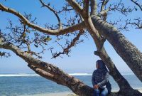 Lokasi Pantai Balekambang Malang