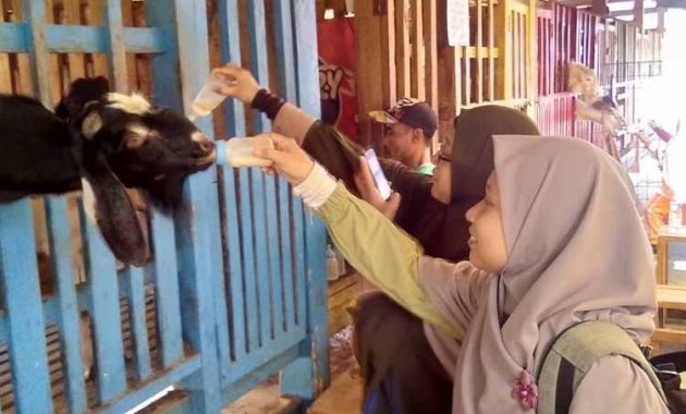 Wahana DKandang Amazing Farm Depok Wahana DKandang Amazing Farm Depok