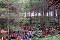 Jalan Menuju Kamojang Ecopark Garut