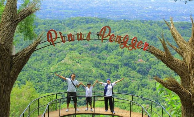 Hutan Pinus Pengger Hutan Pinus Pengger