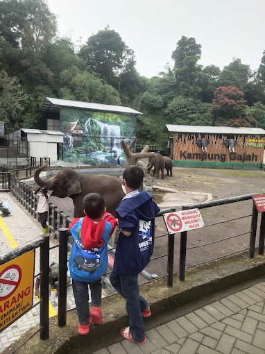 gajah lembang park