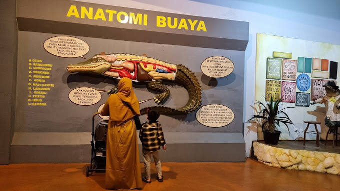 galeri buaya