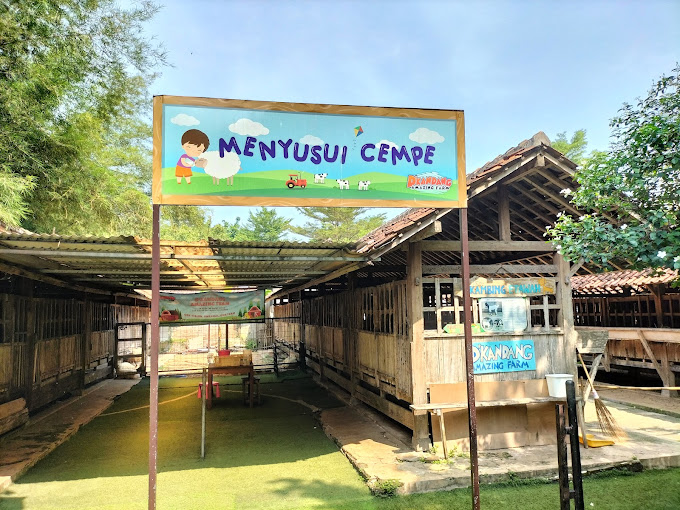 menyusui cempe