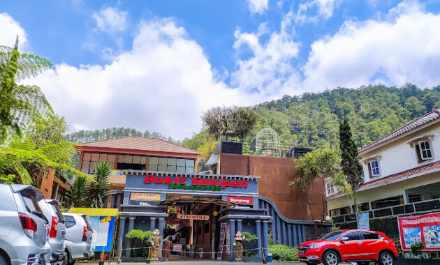 penginapan atau hotel di bukit sekipan